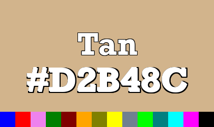 HTML color Tan hex: D2B48C